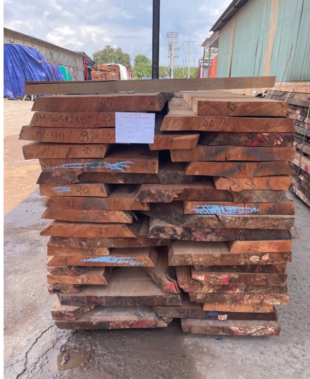 Kayu Beech Eropah · Trung Long Wood