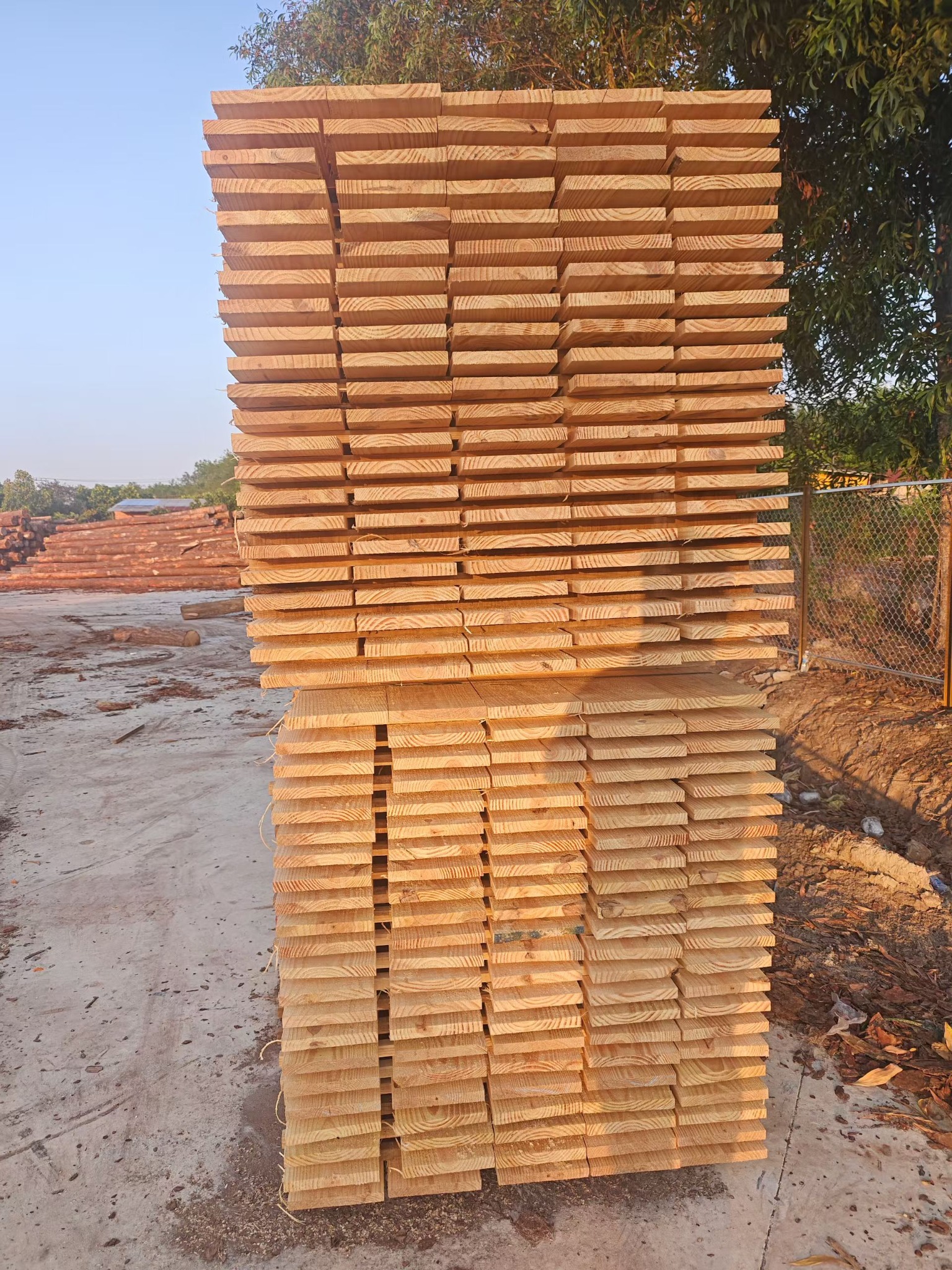 ไม้สนสำหรับพาเลท · Trung Long Wood