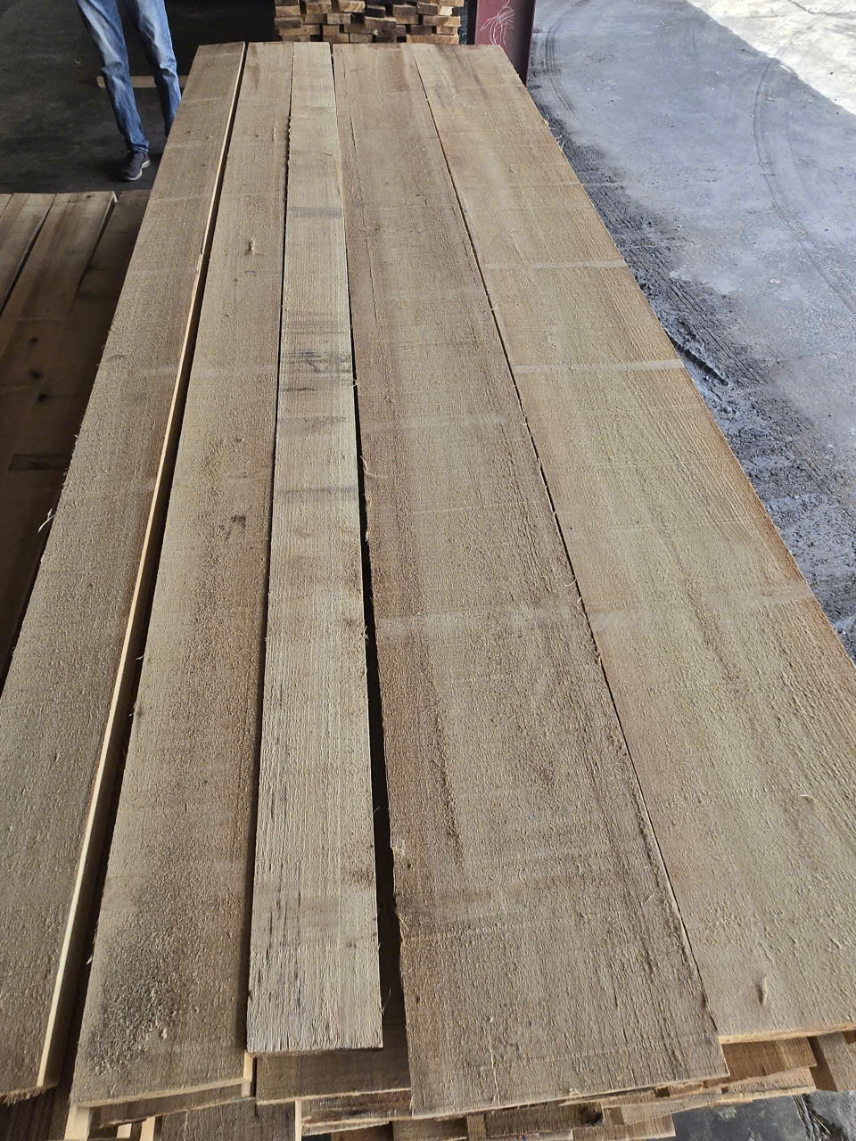 Kayu Yellow Poplar · Trung Long Wood